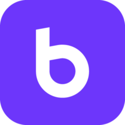 Braip logo