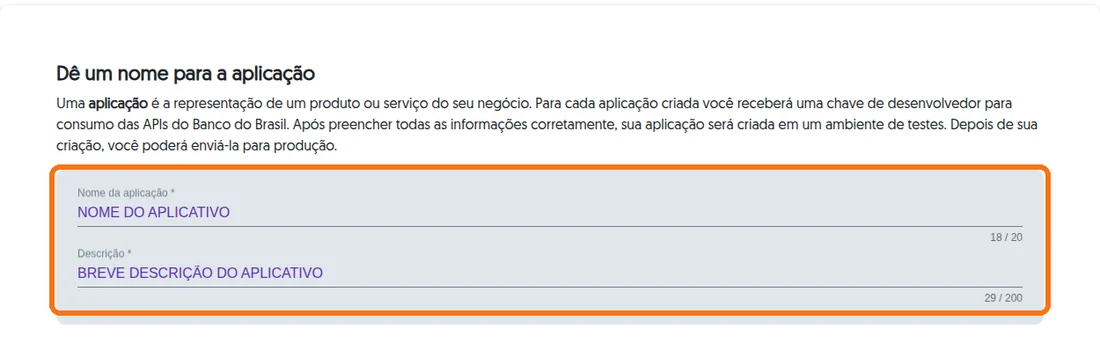 Campos Nome da aplicação e Descrição destacados na tela Nova aplicação